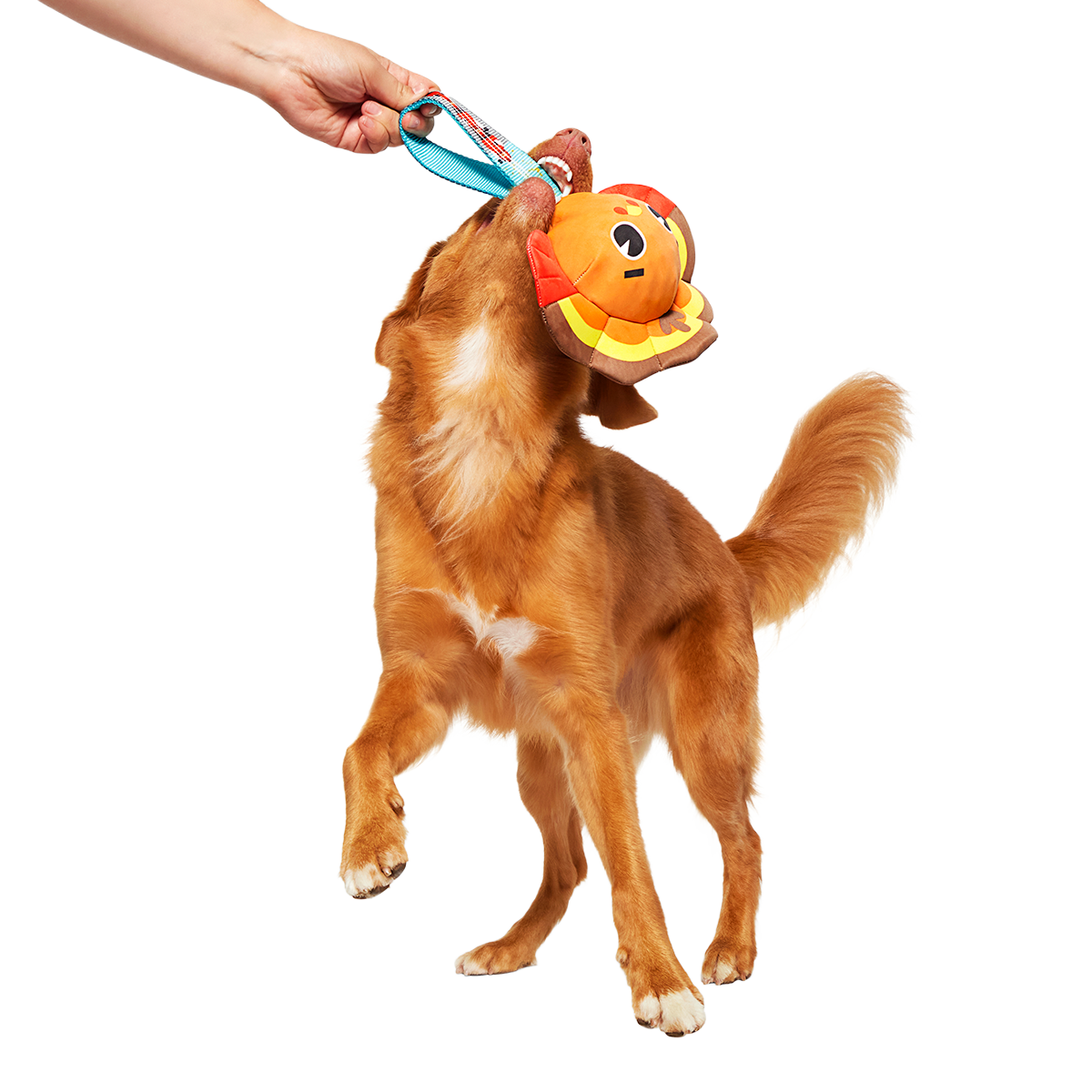 Turkey Tug Parade Super Chewer Durable 2-in-1 Dog Toy