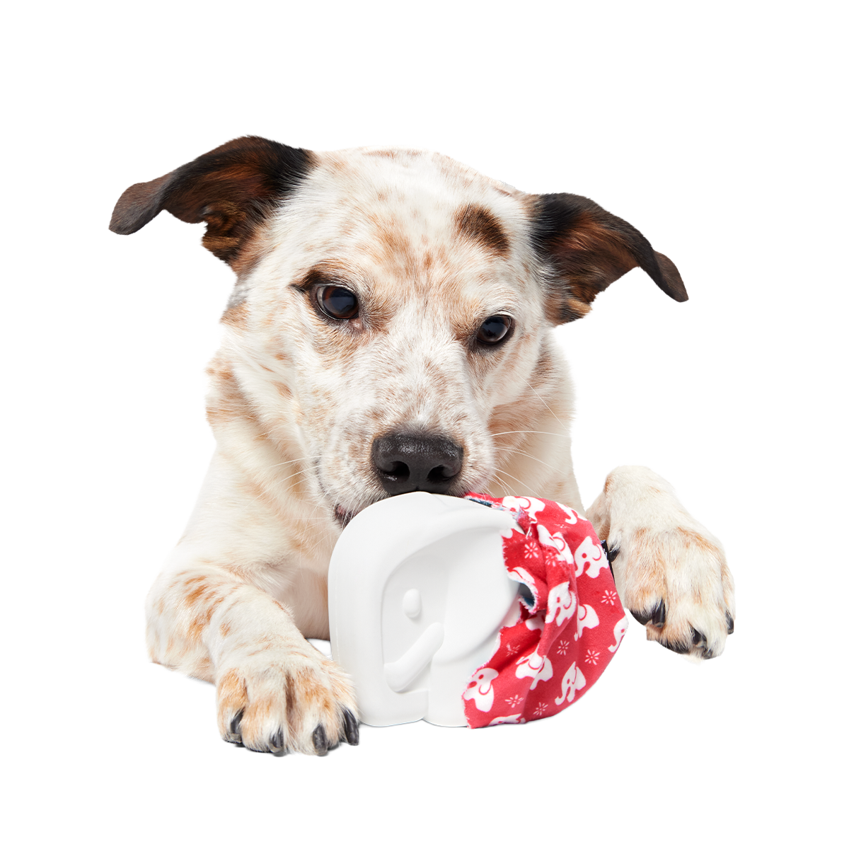 White Smellephant Super Chewer Durable 2-in-1 Dog Toy