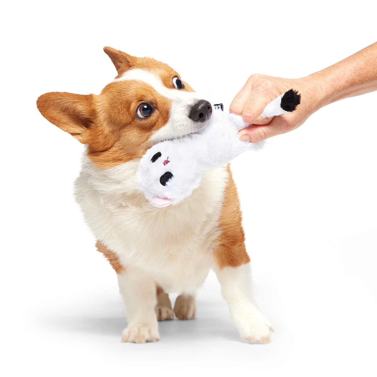Barktic Weasel Super Chewer Durable 2-in-1 + Tug Dog Toy