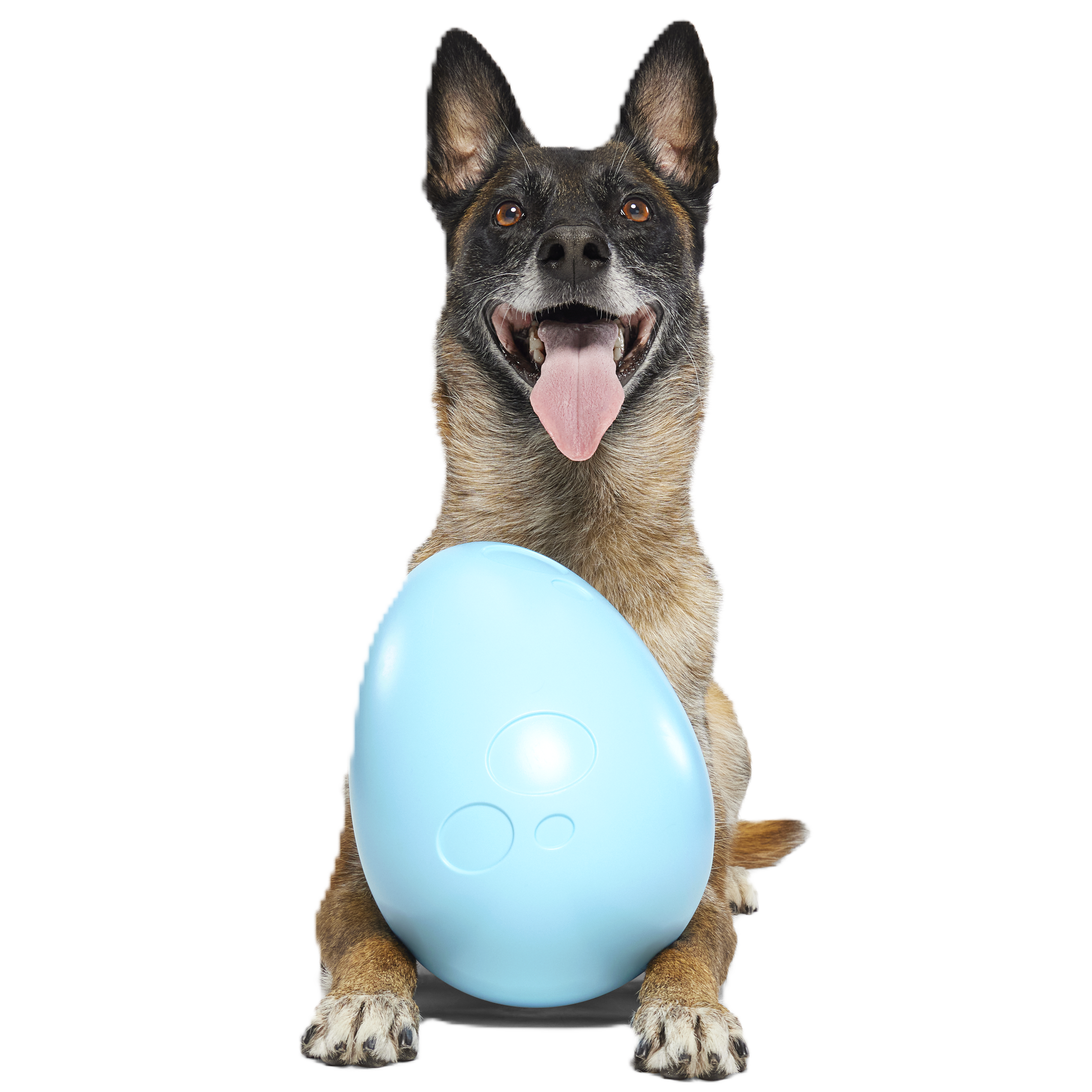 Eggstra Large Easter Egg