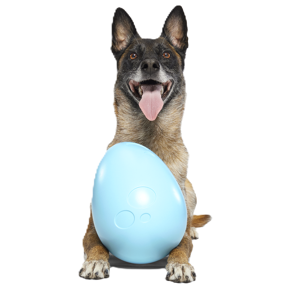 Eggstra Large Easter Egg