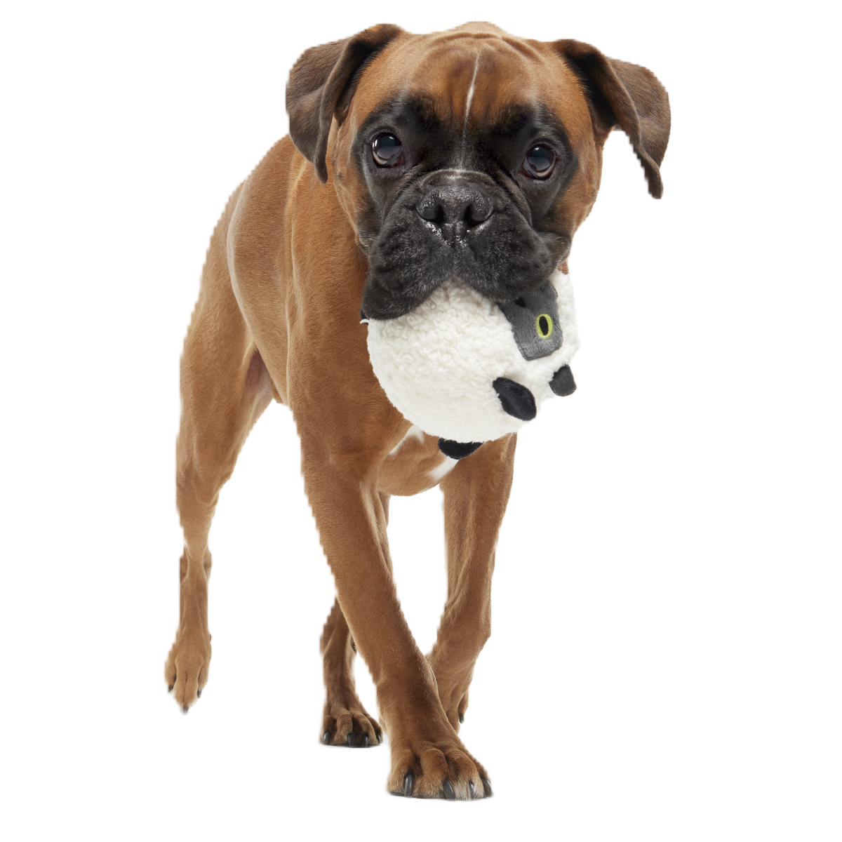 Little Bo Pup Super Chewer Durable Fetch + 2-in-1 Dog Toy