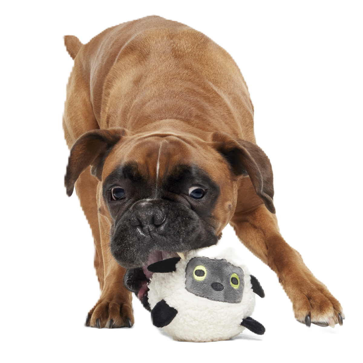 Little Bo Pup Super Chewer Durable Fetch + 2-in-1 Dog Toy