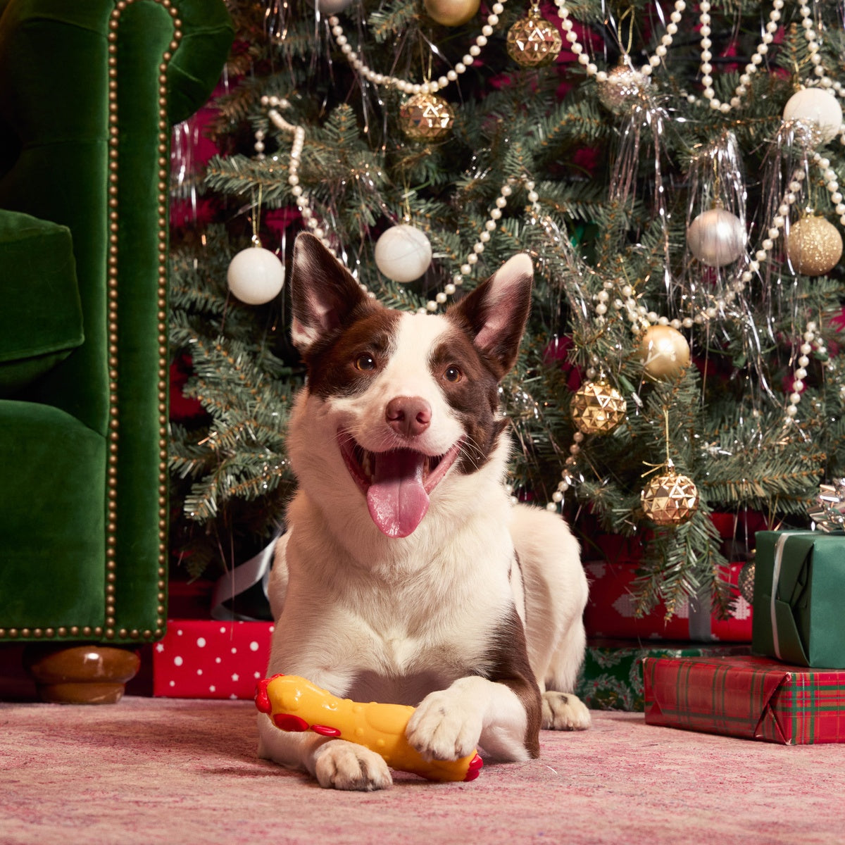 Fozziwig Factory Prop Chicken