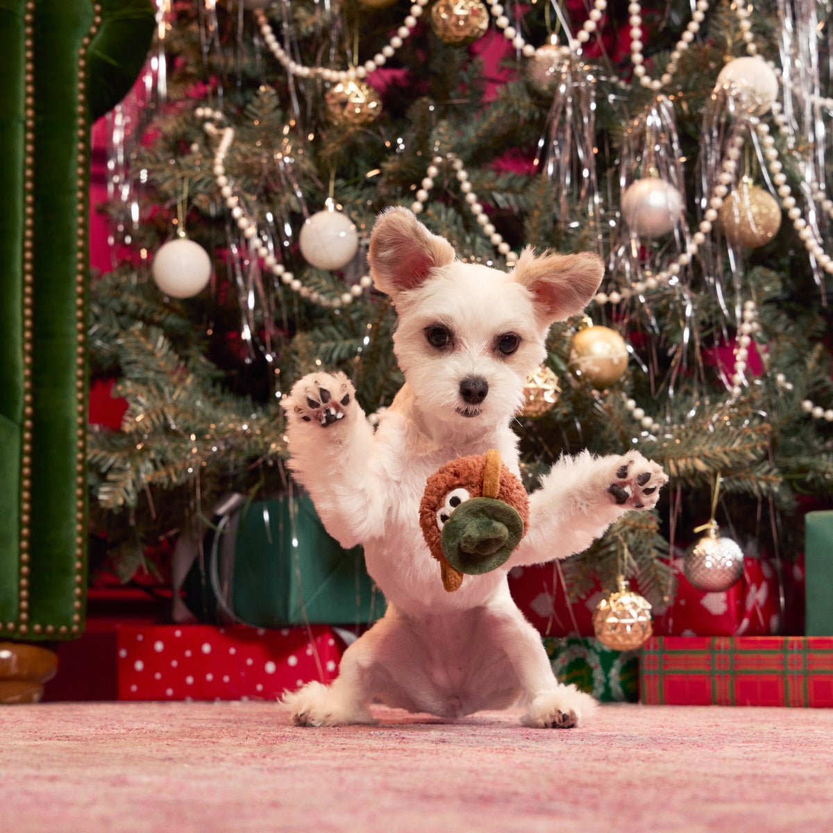 SC-ATB_216438_RAT-N-ROLL-RIZZO-S_VIOLET_4290_cropped#Size_S