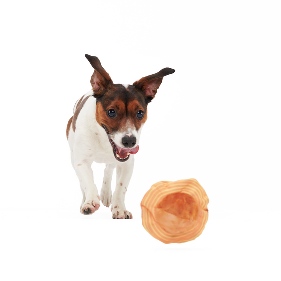 Flings Around Saturn