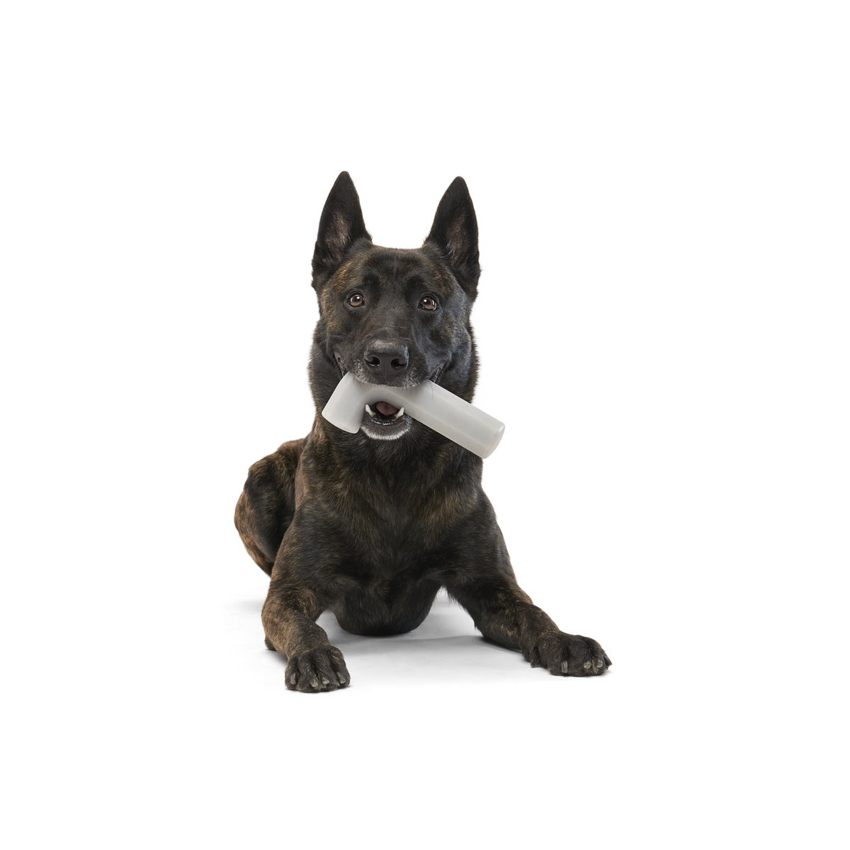 Growlin' Wrench Super Chewer Durable Gnaw Dog Toy