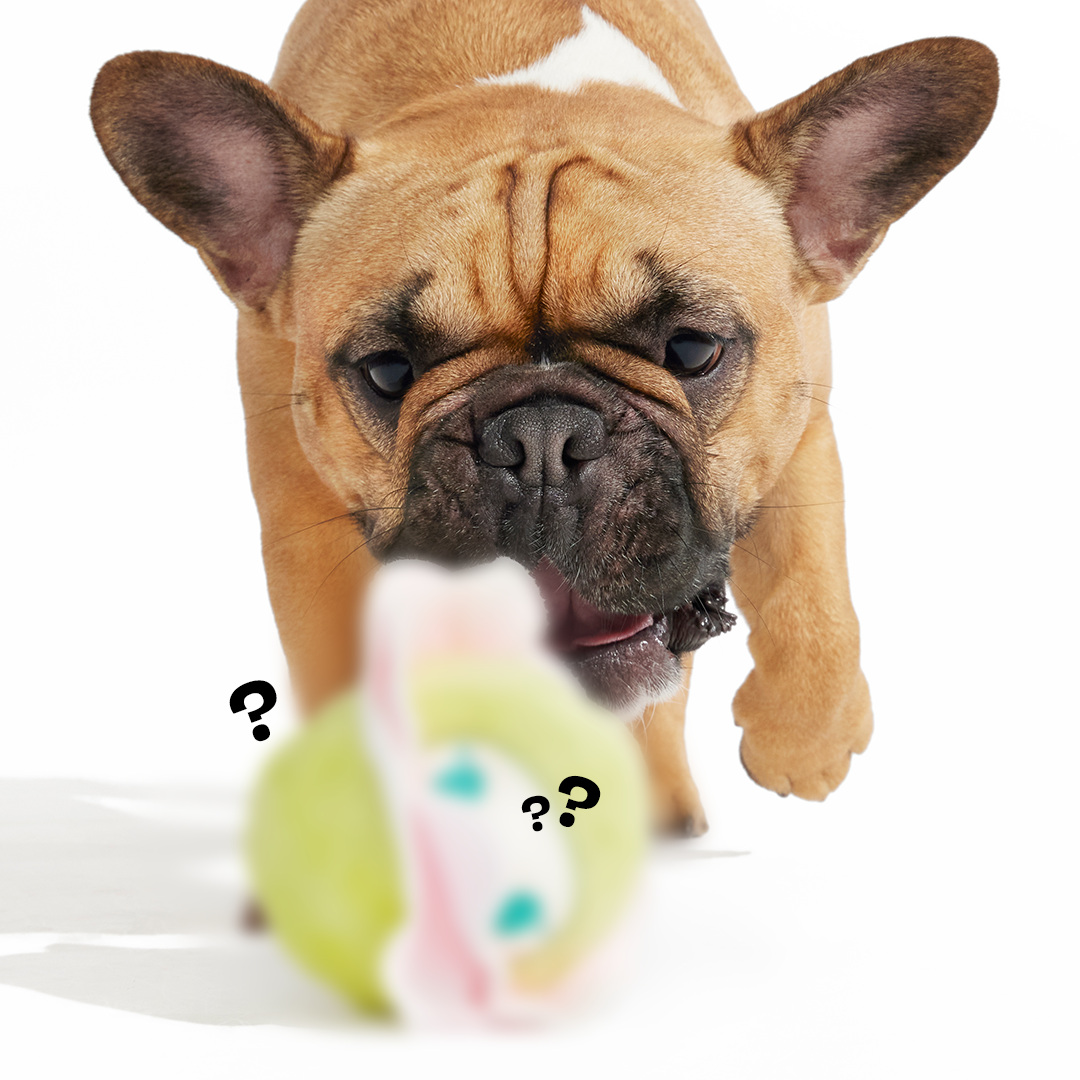 Secret Monster Club, Super Chewer Durable 2-in-1 Rip and Reveal Monthly Dog Toys