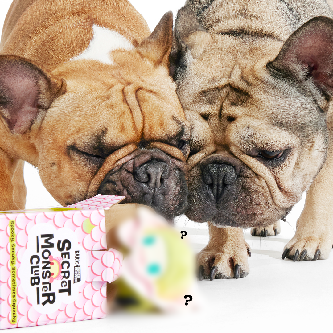 Secret Monster Club, Super Chewer Durable 2-in-1 Rip and Reveal Monthly Dog Toys