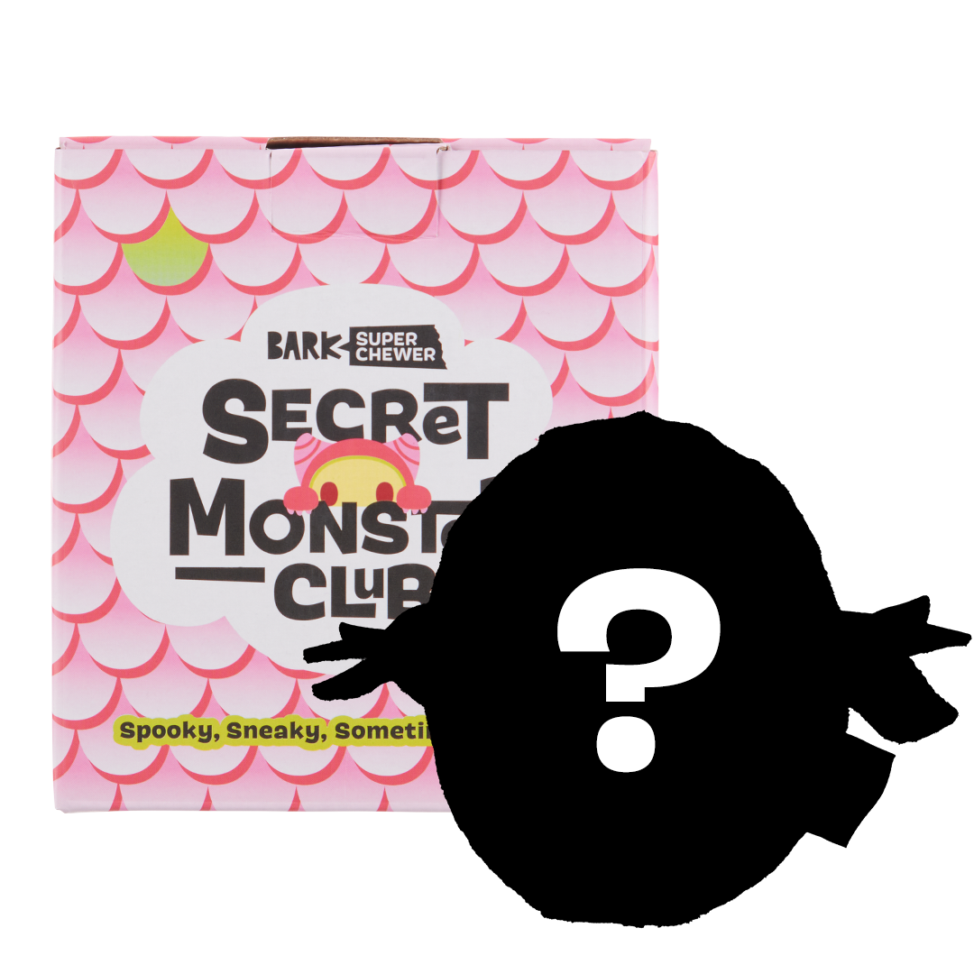 Secret Monster Club, Super Chewer Durable 2-in-1 Rip and Reveal Monthly Dog Toys