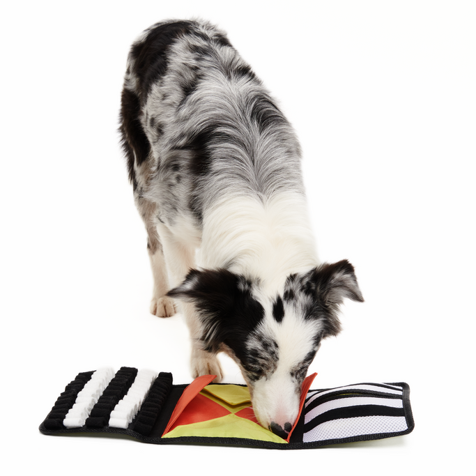 World Pup Rufferee Kit