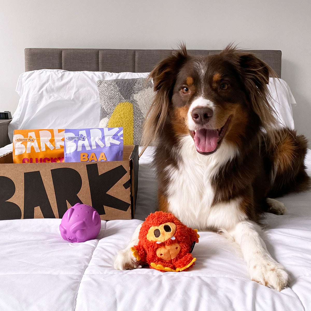 SuperChewer + Free Yeti Bowl: 6 Month Subscription