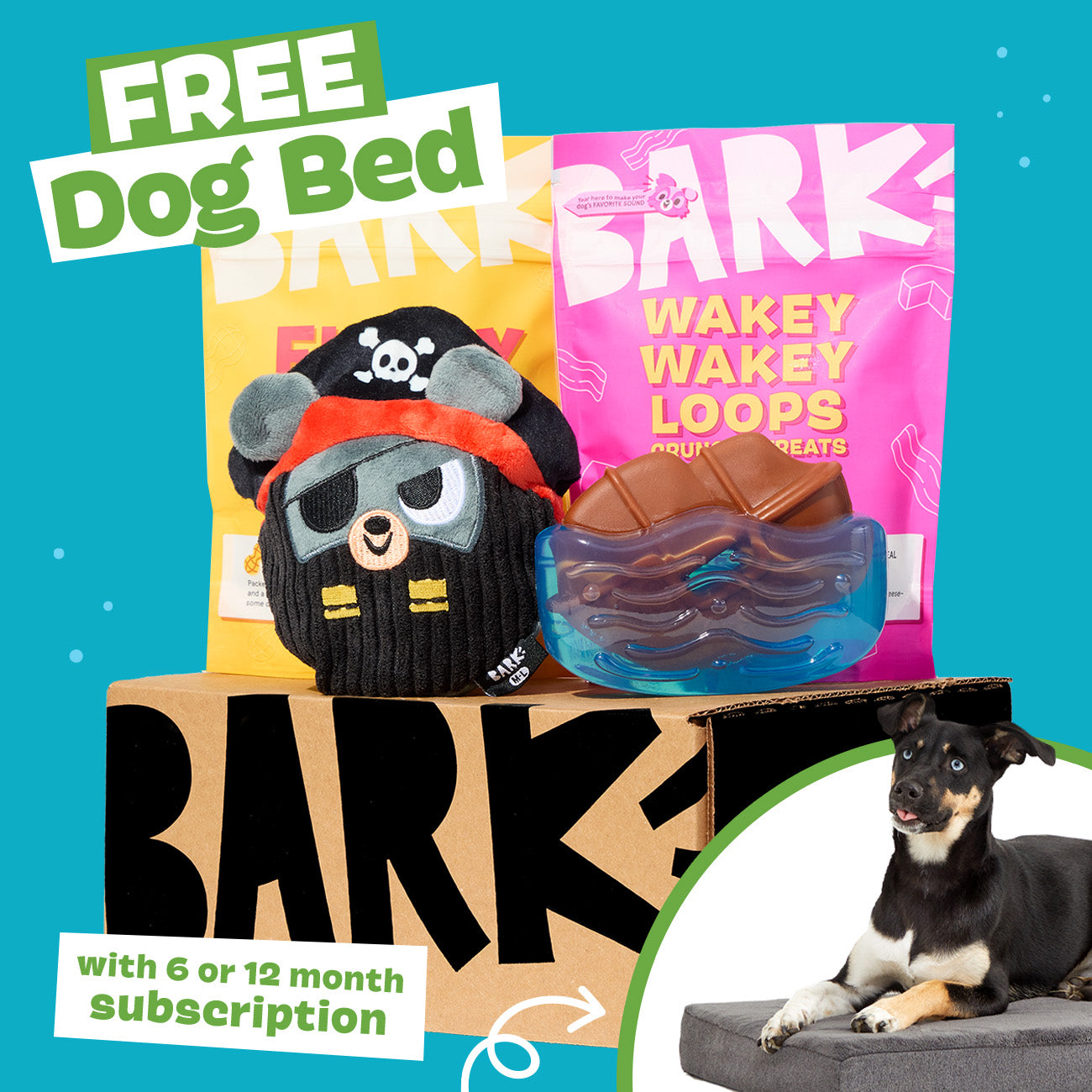 SuperChewer + Free Dog Bed: 6 Month Subscription
