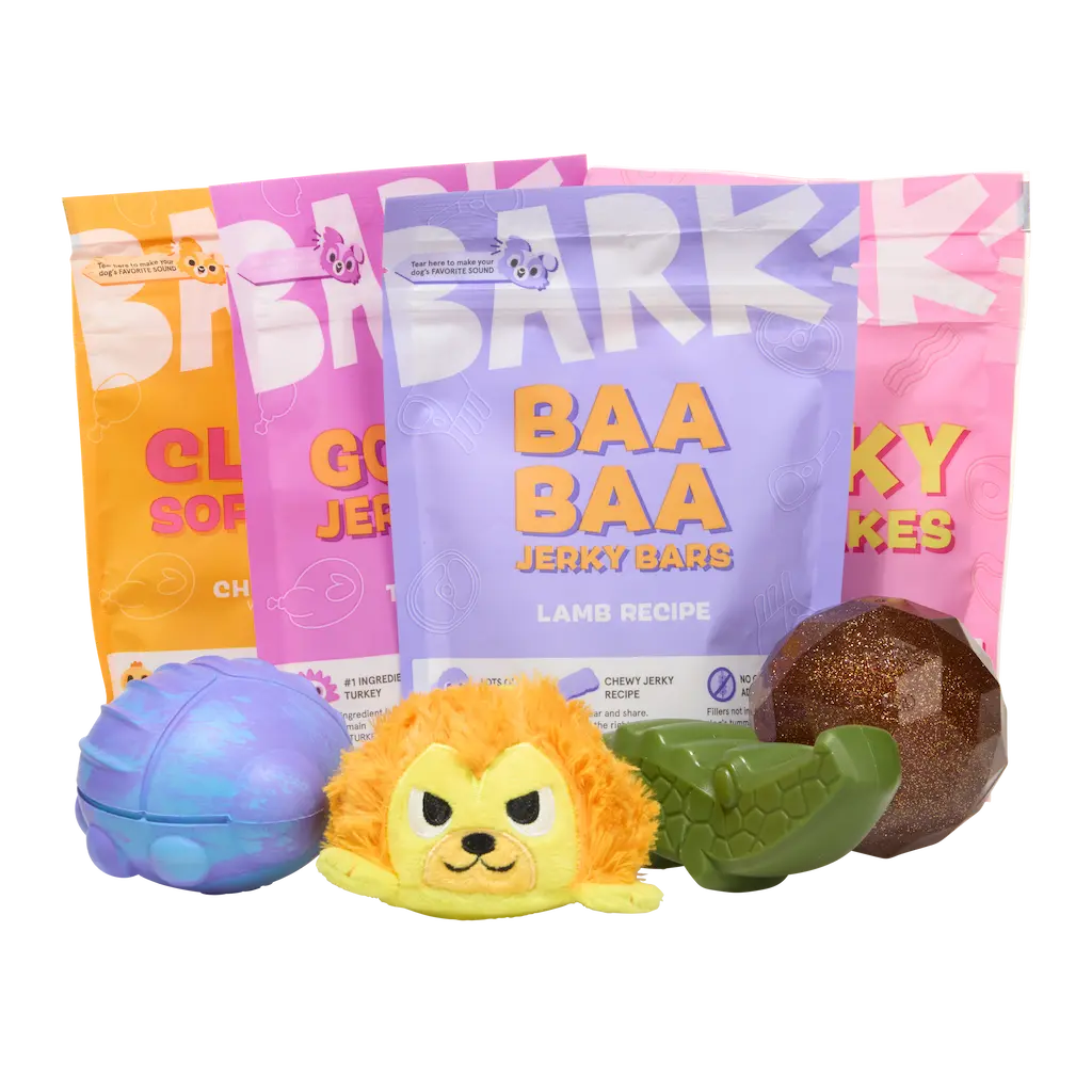 Super Chewer 6 Month Subscription - FREE Extra Toys