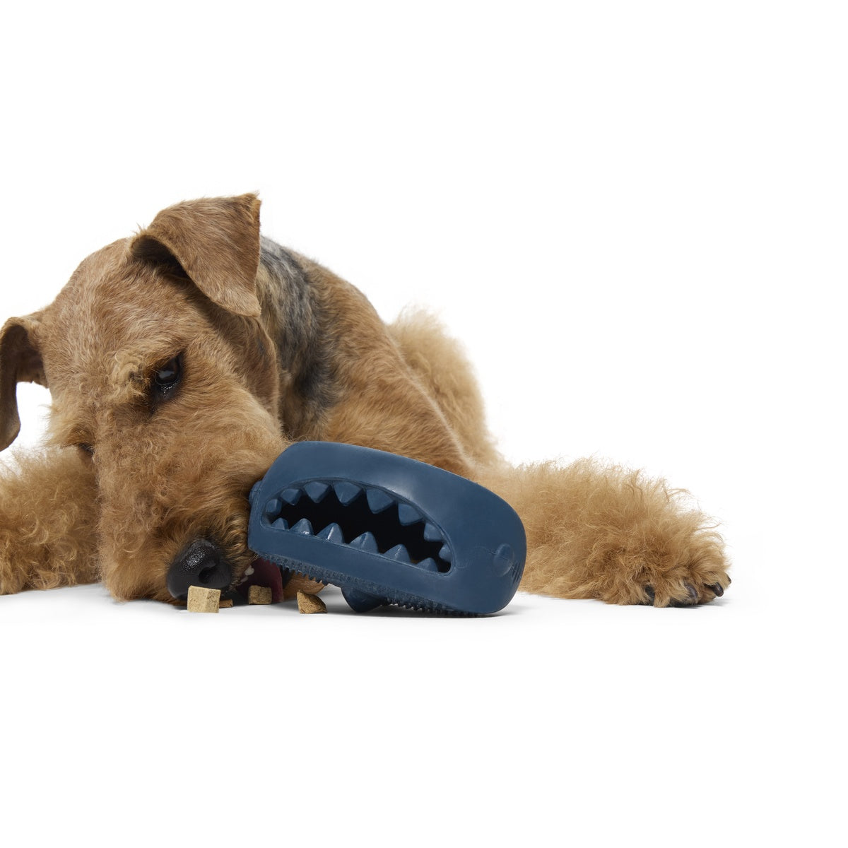 Hammer Fed Shark Super Chewer Durable Enrichment Dog Toy