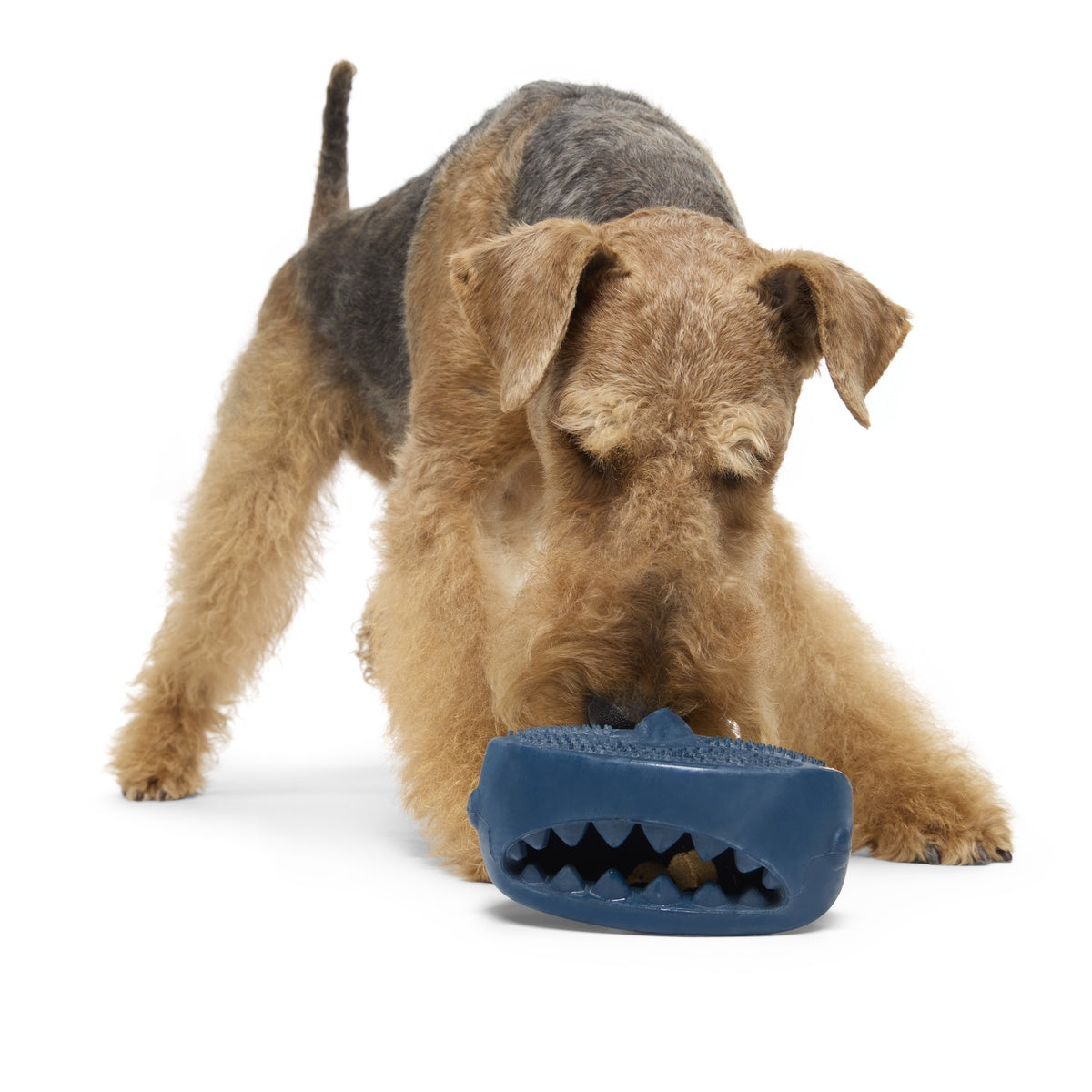 Hammer Fed Shark Super Chewer Durable Enrichment Dog Toy