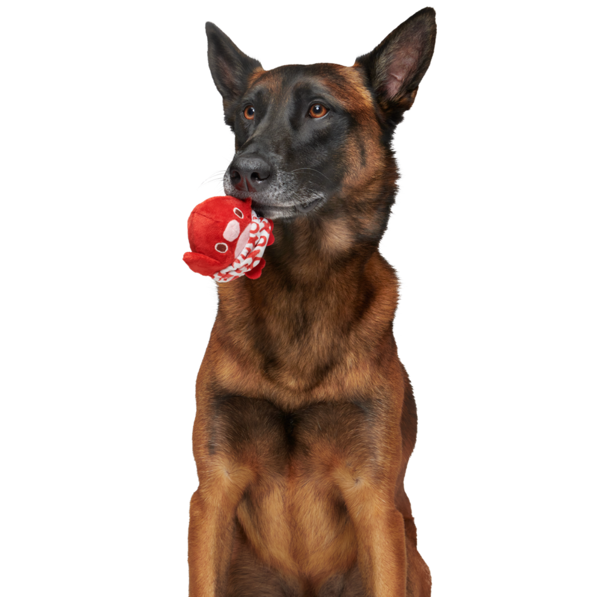 Puppy Love Penguin Durable Super Chewer 2-in-1 Rip and Reveal + Enrichment Dog Toy