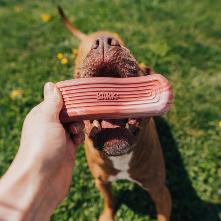 Tough Break Bacon Super Chewer Durable Gnaw Dog Toy