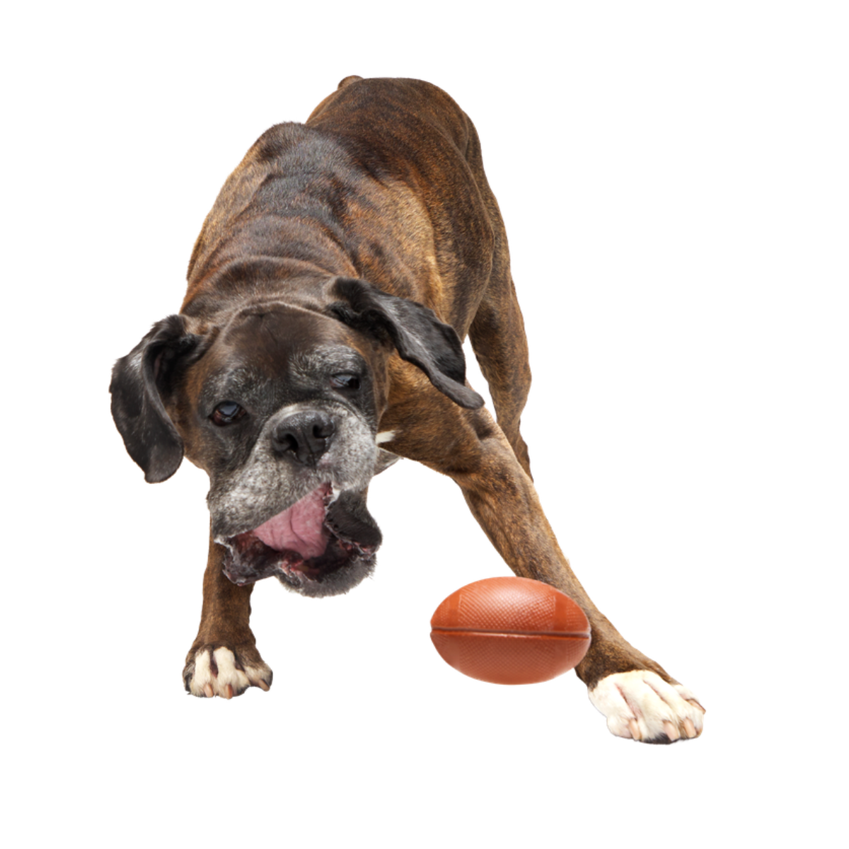 Chompionship Football Super Chewer Durable Fetch Dog Toy
