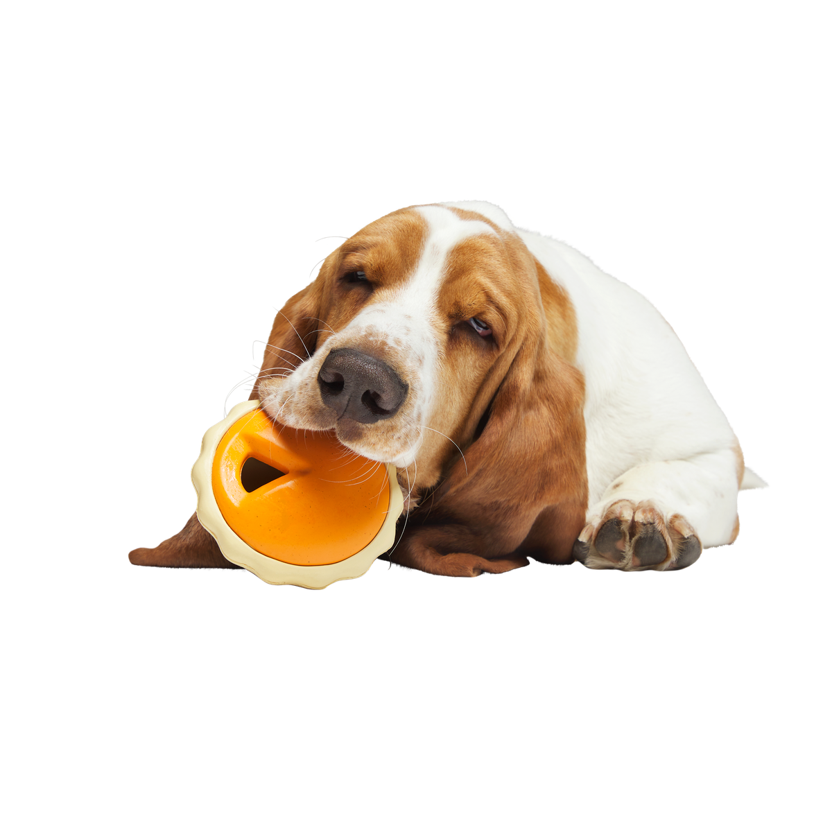 American Pumpkin Pie Super Chewer Durable Enrichment Dog Toy