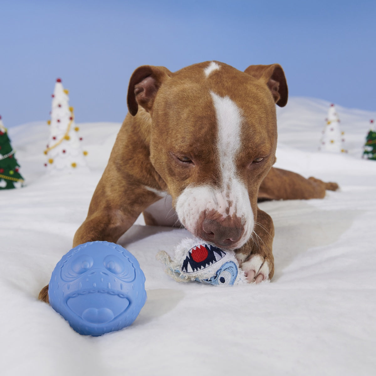 Rudolph® Holiday Super Chewer Gift Box