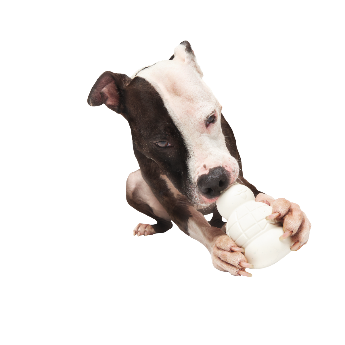 Rudolph® Holiday Gift Super Chewer Box#Extra Toy_Double Deluxe