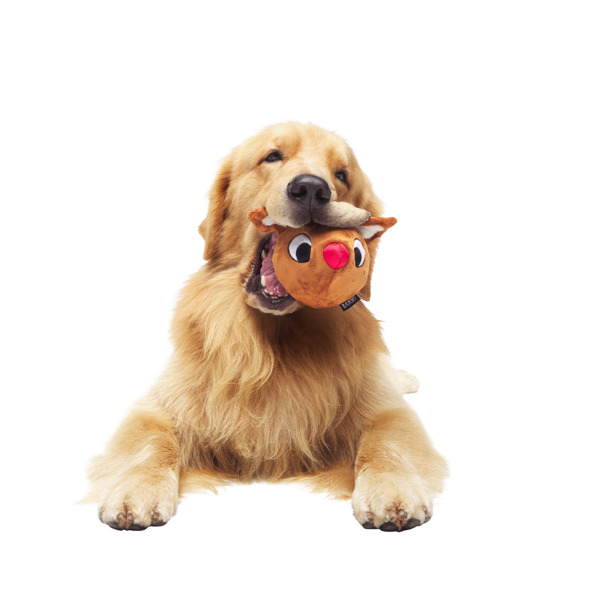 Rudolph® Holiday Super Chewer Gift Box