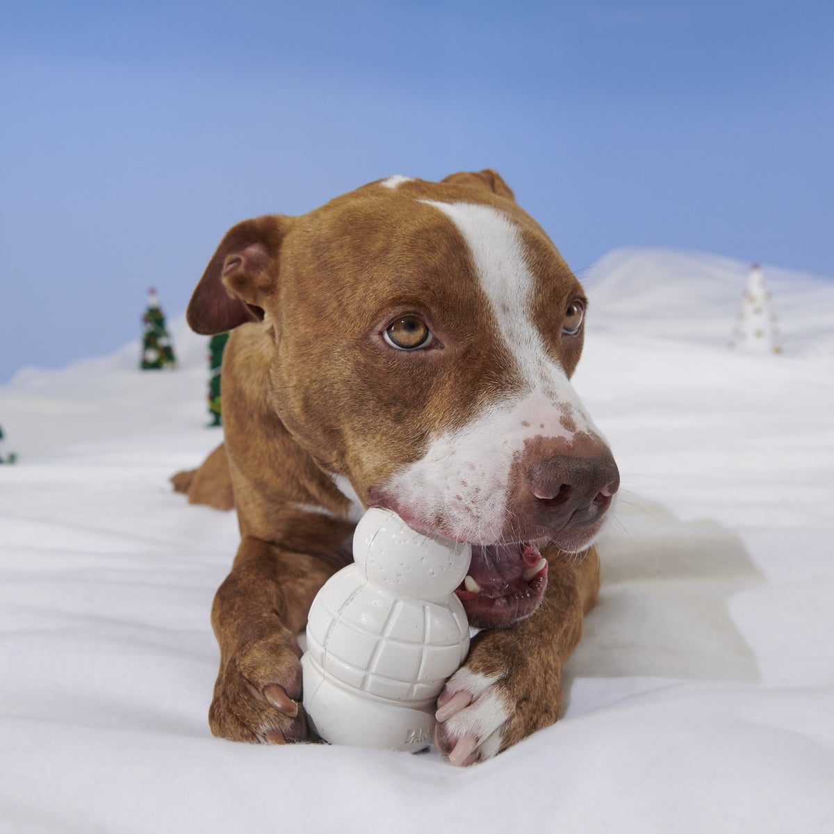 Rudolph® Holiday Gift Super Chewer Box#Extra Toy_Double Deluxe