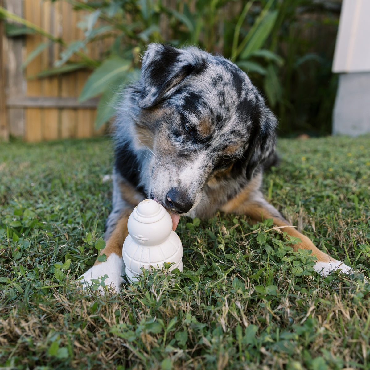 Sam the Snowman™ Super Chewer Durable Gnaw Dog Toy