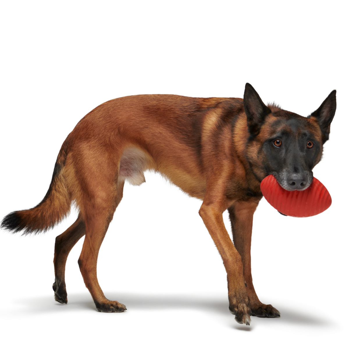 Red Zone Football Durable Super Chewer Fetch Dog Toy