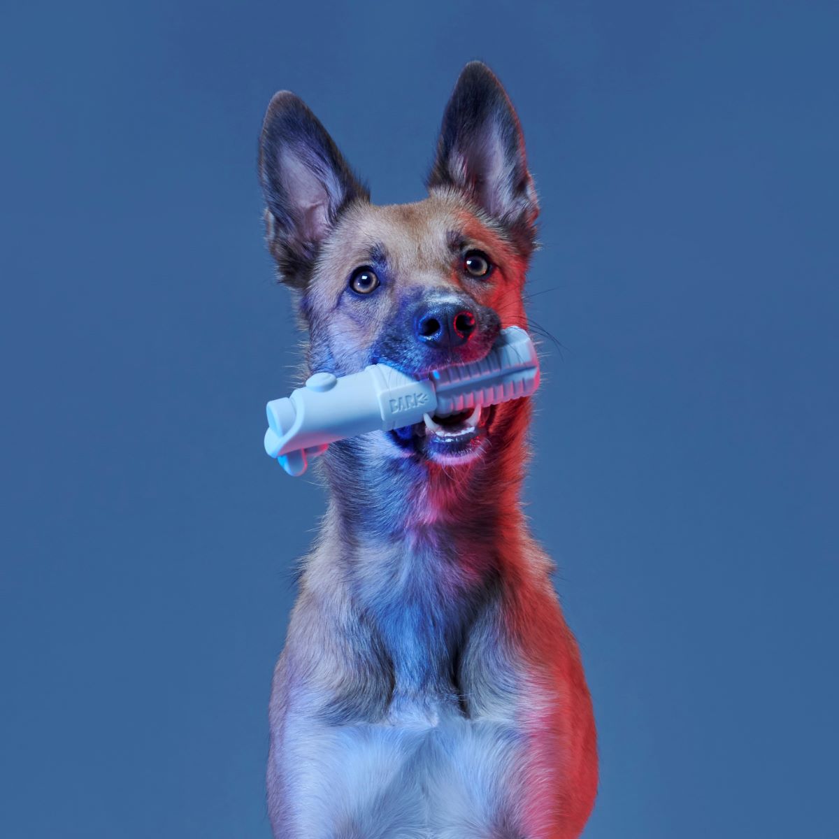 Light Side Star Wars™ Super Chewer Durable Bundle Fetch + Gnaw Dog Toy