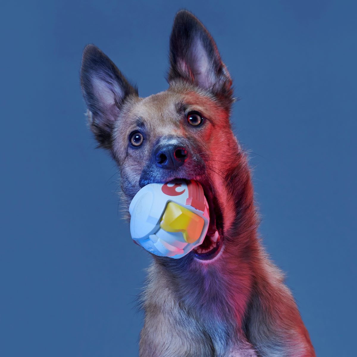 Light Side Star Wars™ Super Chewer Durable Bundle Fetch + Gnaw Dog Toy