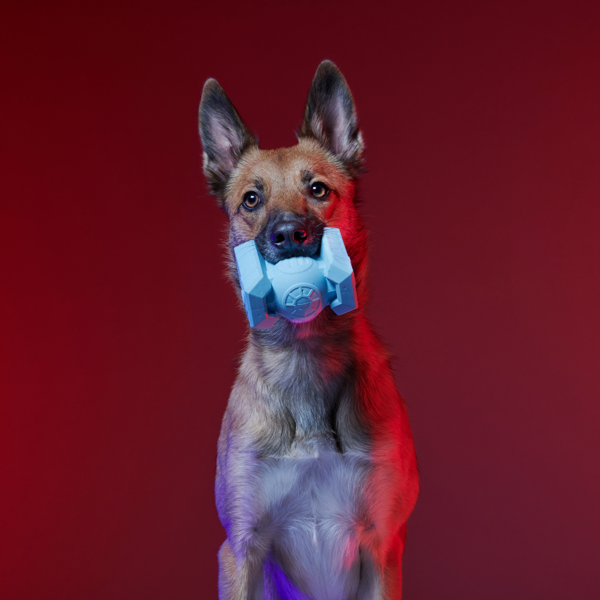 TIE Fighter™ Biter Super Chewer Durable Fetch + Gnaw Dog Toy