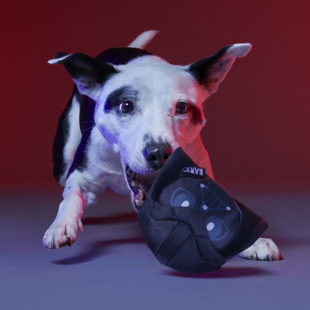 Dark Side Star Wars™ Super Chewer Durable Bundle 2-in-1 + Fetch Dog Toy