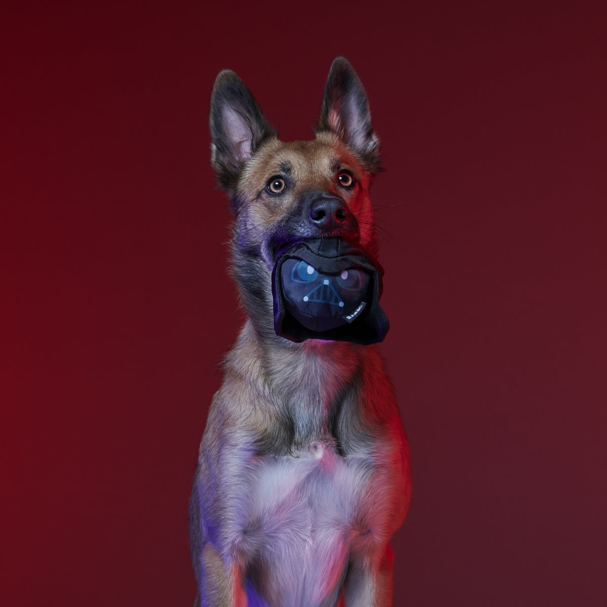 Dark Side Star Wars™ Super Chewer Durable Bundle 2-in-1 + Fetch Dog Toy