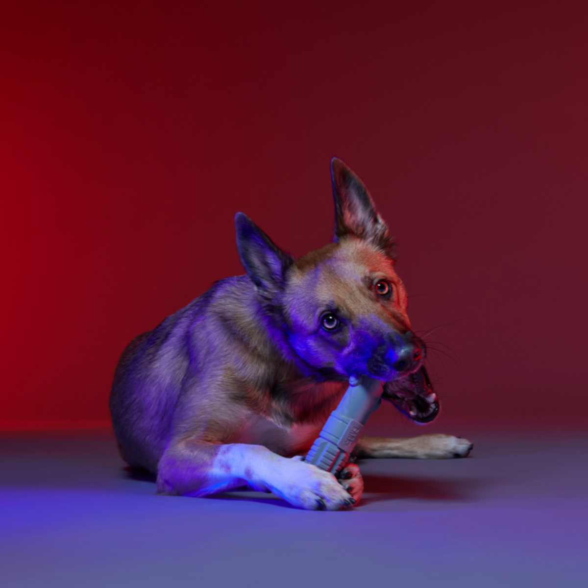 Ultimutt Bark Side Lightsaber™ Super Chewer Durable Gnaw Dog Toy