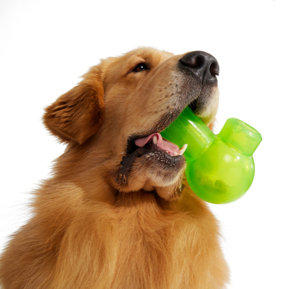Snack Packed Bong Treat Hiding Tough Super Chewer Dog Toy