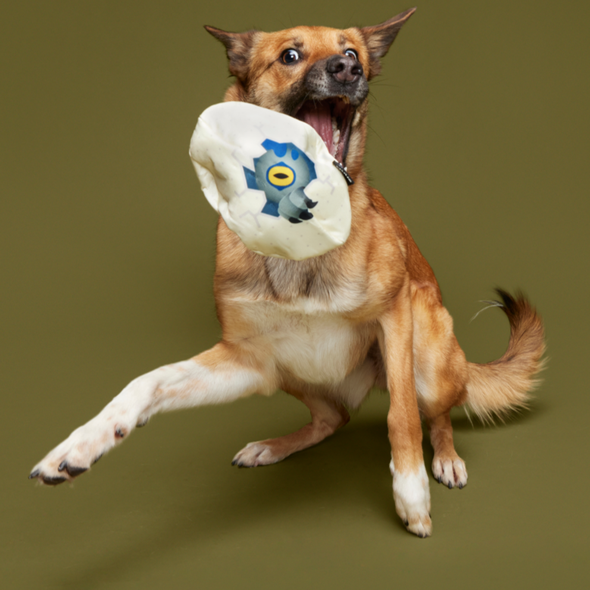 Raptor Hatchling Super Chewer Durable 2-in-1 + Fetch Dog Toy