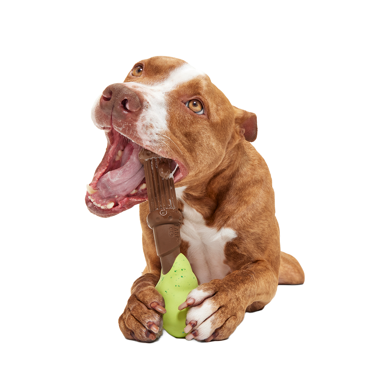 Harry's Bogey™ Wand Super Chewer Durable Gnaw Dog Toy