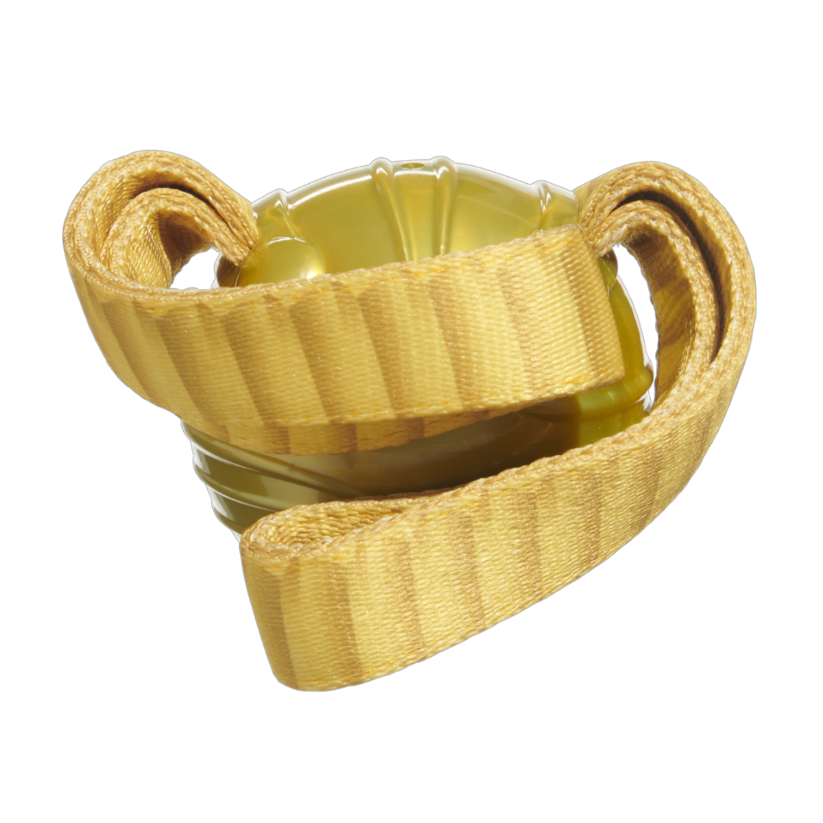 The Golden Snitch™