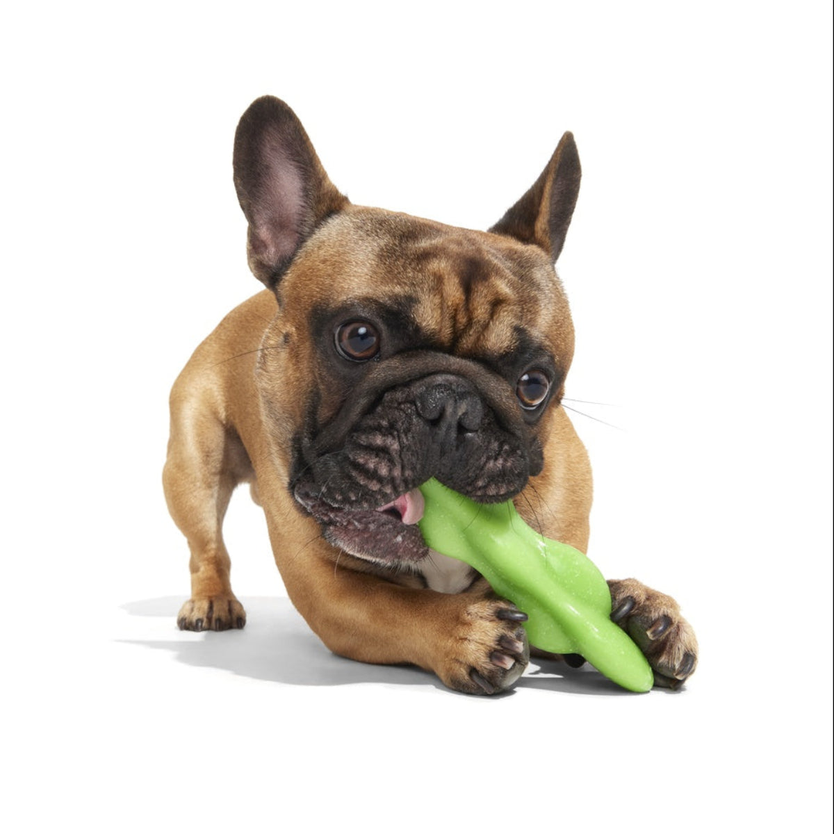 Green Reef Rod Super Chewer Durable Gnaw Dog Toy