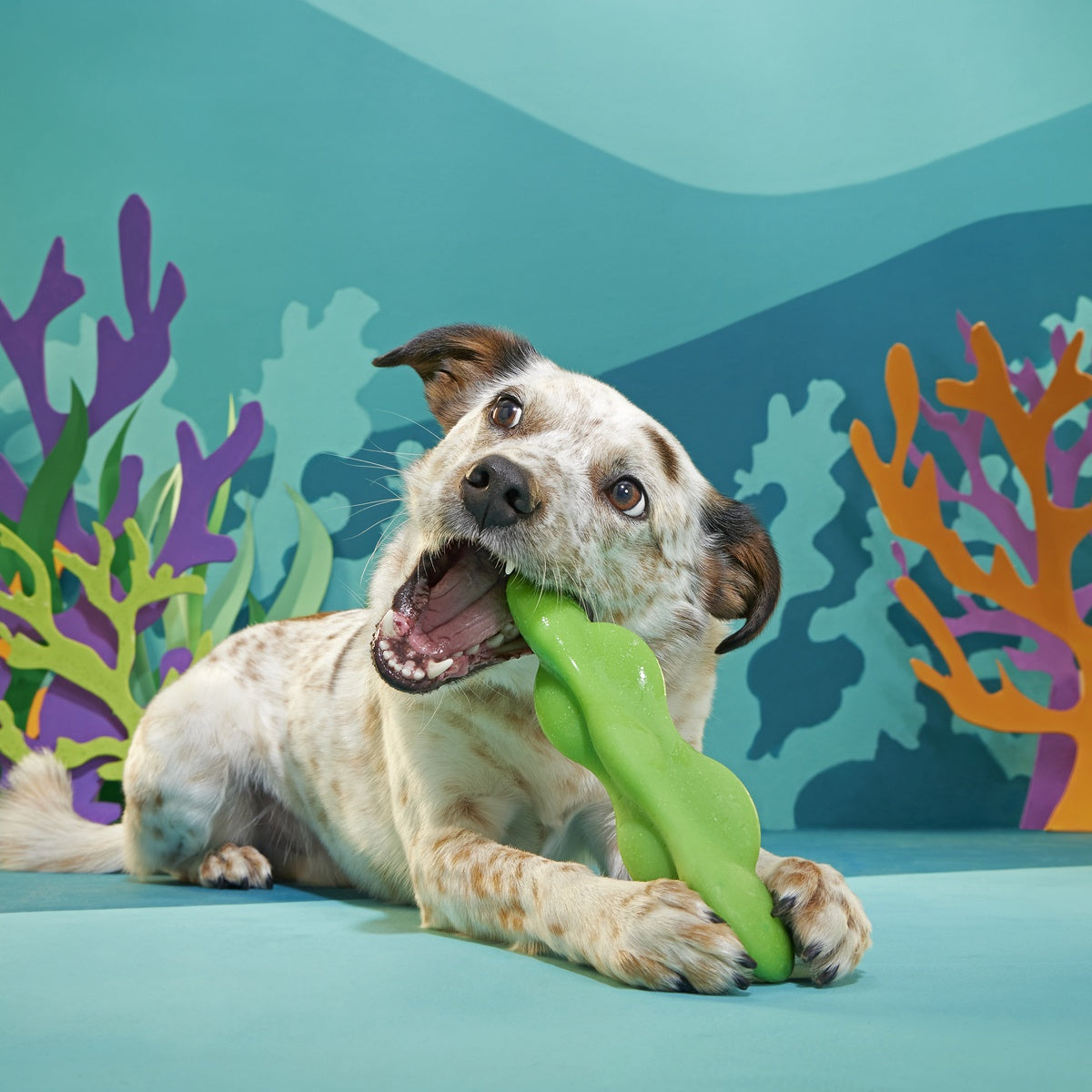 Green Reef Rod Super Chewer Durable Gnaw Dog Toy