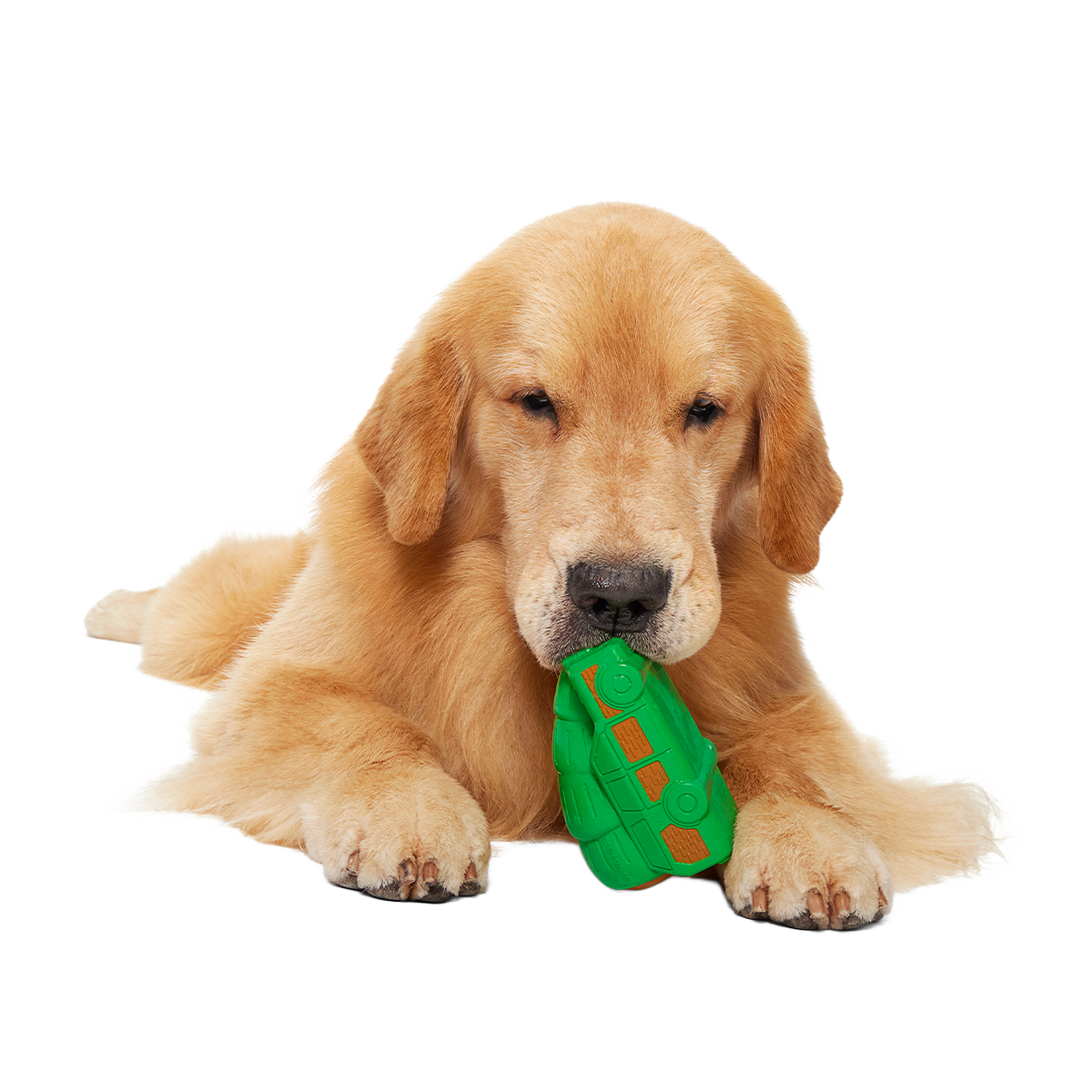 Christmas Vacation Super Chewer Durable Dog Toy Bundle