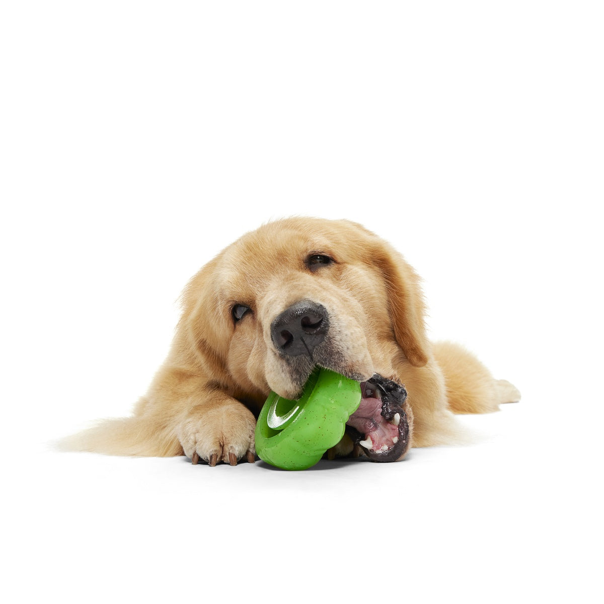 Aunt Bethany's Jello Super Chewer Durable Gnaw Dog Toy