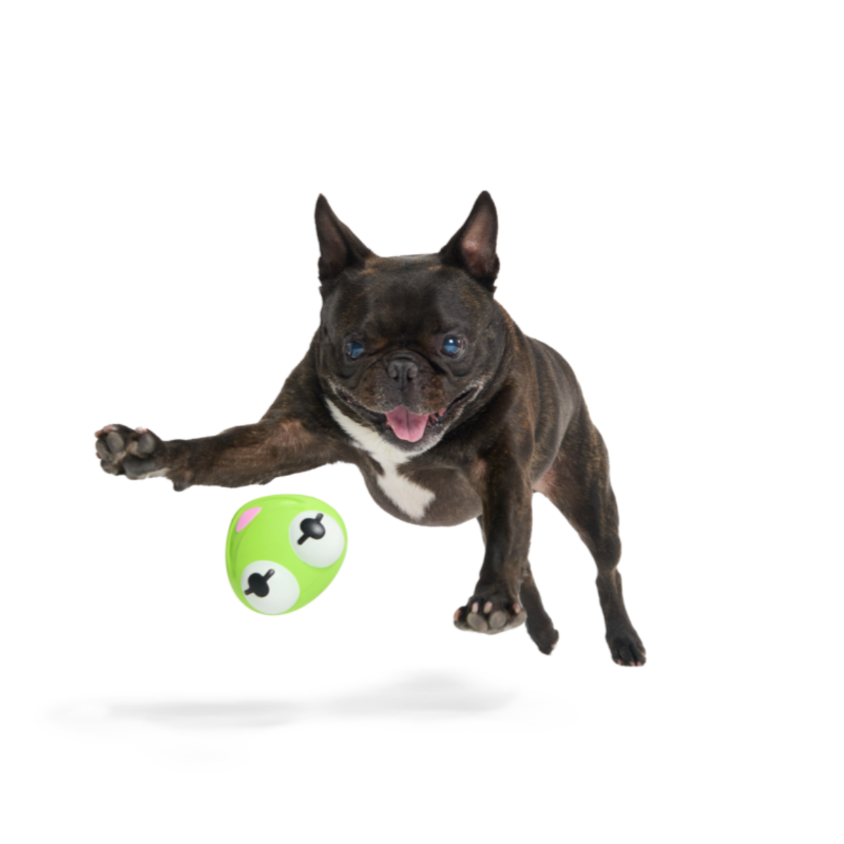 Kermit the Frog as “Bouncing Bob Catch-It"