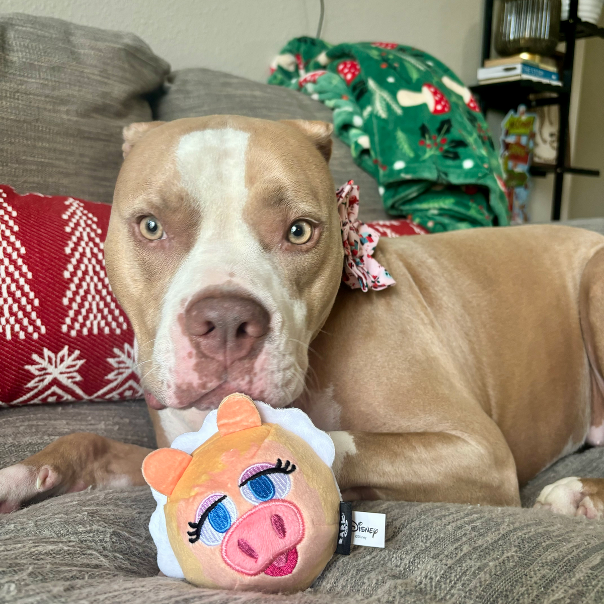 Miss Piggy as “Bouncing Emily Catch-it”