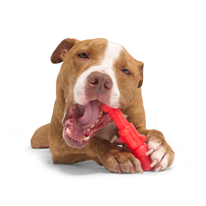 The Gnawtcracker Nylon Tough Super Chewer Dog Toy
