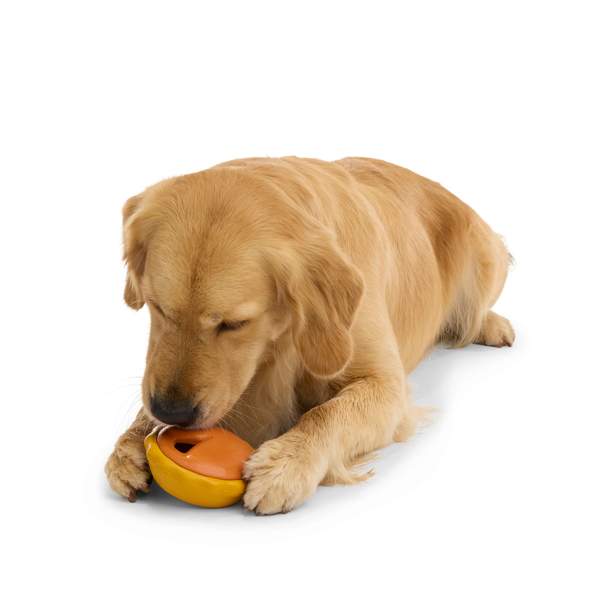 American Pumpkin Pie Super Chewer Durable Enrichment Dog Toy