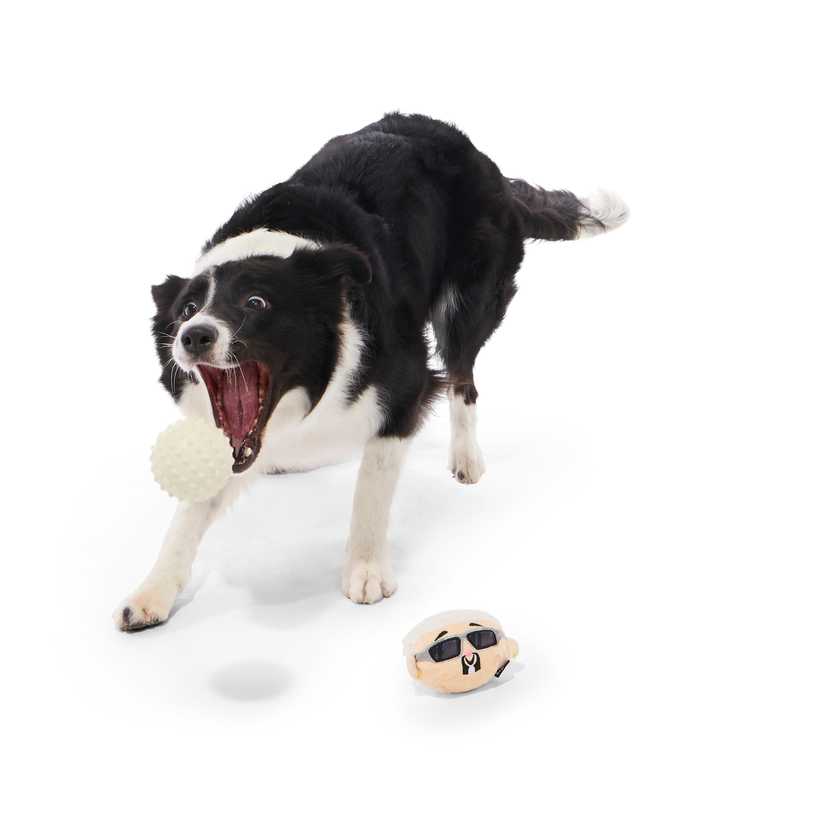 Gnawcklehead Super Chewer Durable Enrichment + Fetch Dog Toy