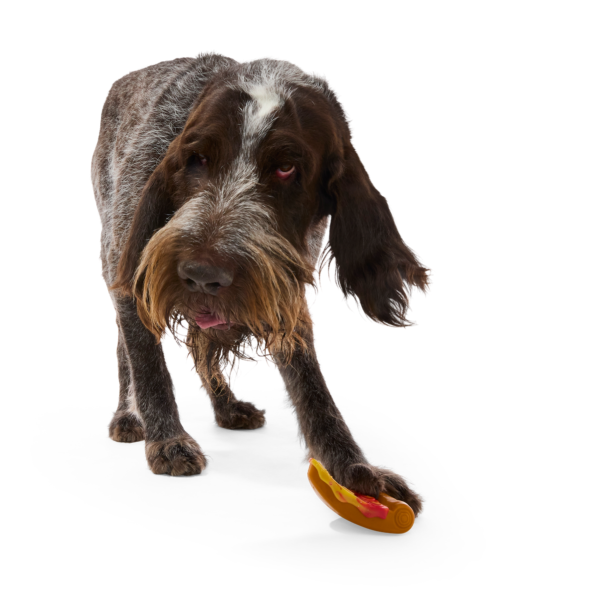 Barkaroni Slice Super Chewer Durable Gnaw Dog Toy